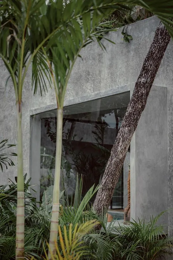 Casa Shalva Awards Design Villa With Art Gallery Tulum 0*,  Mexico