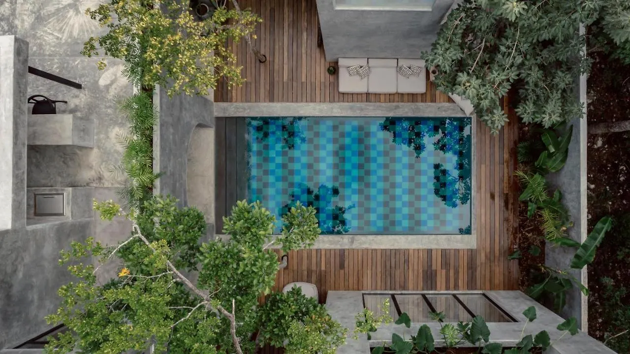 Casa Shalva Awards Design Villa With Art Gallery Tulum